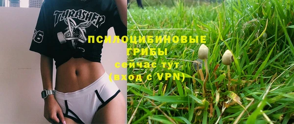 винт Алексин