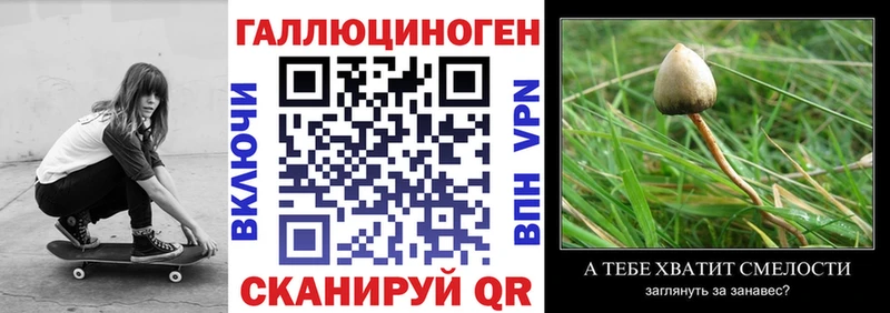 Галлюциногенные грибы Psilocybe  мега tor  Петрозаводск 