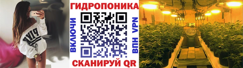 кракен маркетплейс  Петрозаводск  Бошки марихуана индика  даркнет сайт 